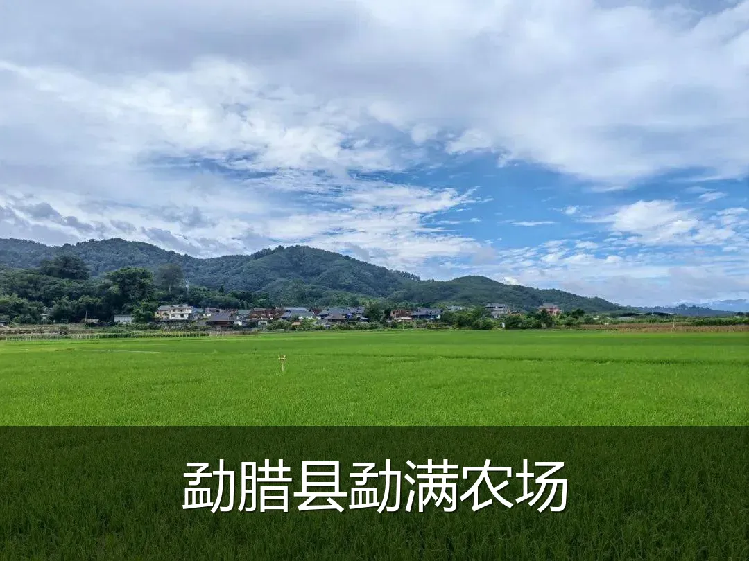 勐腊县勐满农场