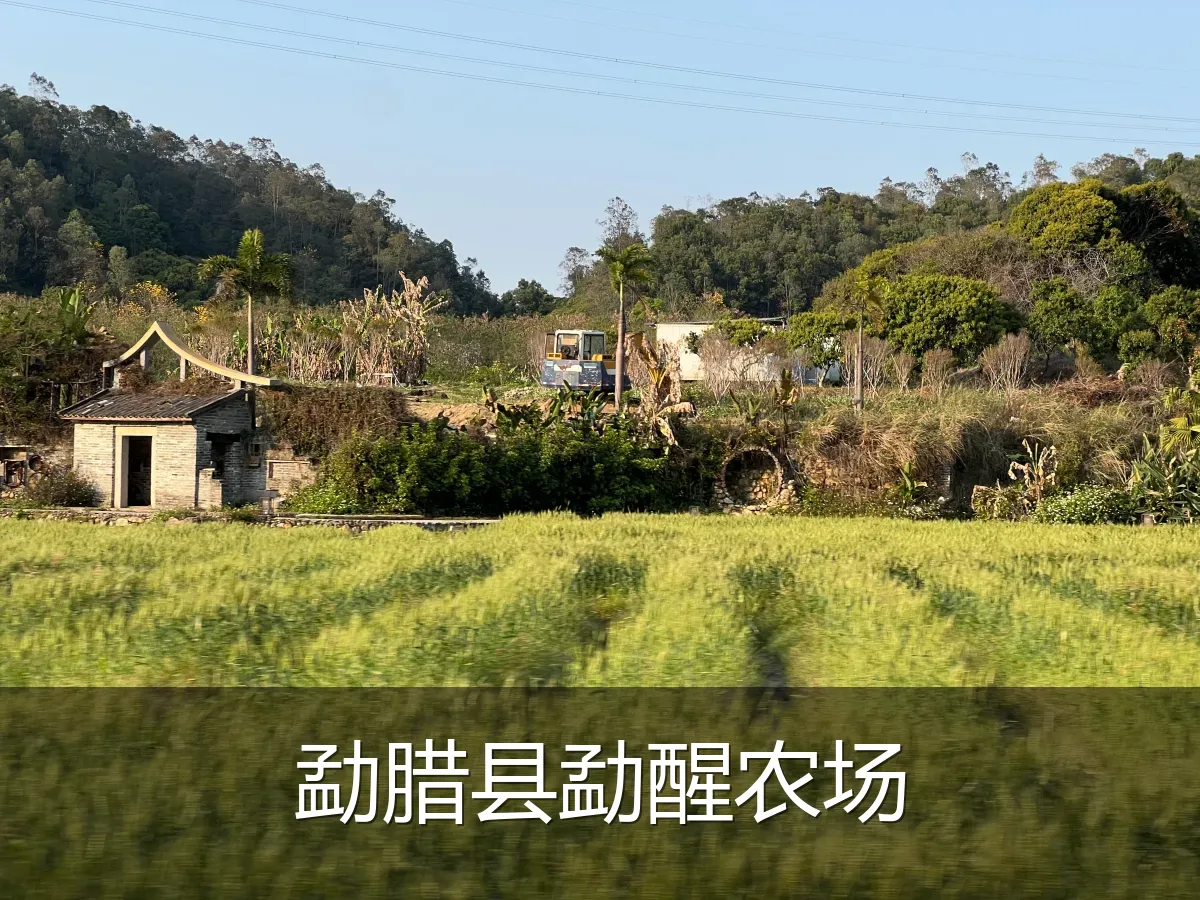 勐腊县勐醒农场